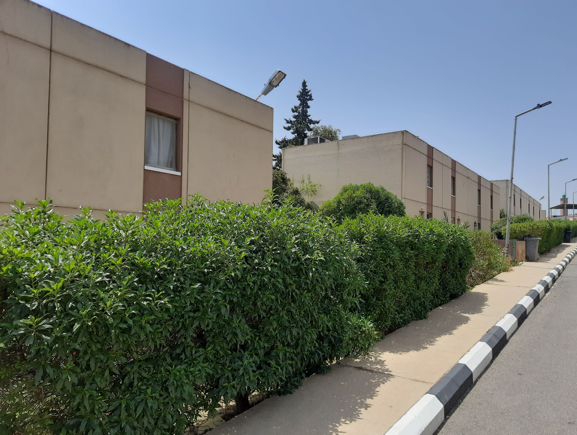 residential complex with buildings, trees, gardens, asphalt, a sidewalk, and electric lighting poles in the morning